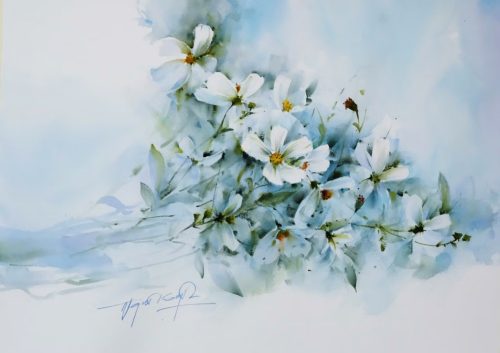 Hoa Cánh Bướm - Hoạ sĩ Đình Đức 