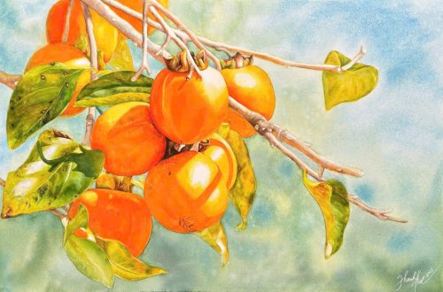 Hồng Chín - Quà Tặng Tranh Màu Nước Họa Sĩ Thanh Hà