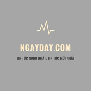 Ngay Day Nói Gì Về Quà Tặng Độc & Lạ Của Quà Tặng Quý