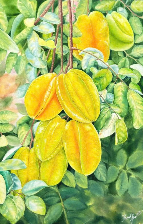 Ngũ Liễm Tử - Quà Tặng Tranh Màu Nước Họa Sĩ Thanh Hà