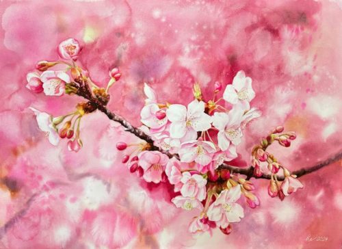 Sắc Hồng Đón Xuân - Quà Tặng Tranh Nghệ Thuật Màu Nước Họa Sĩ Thanh Hà