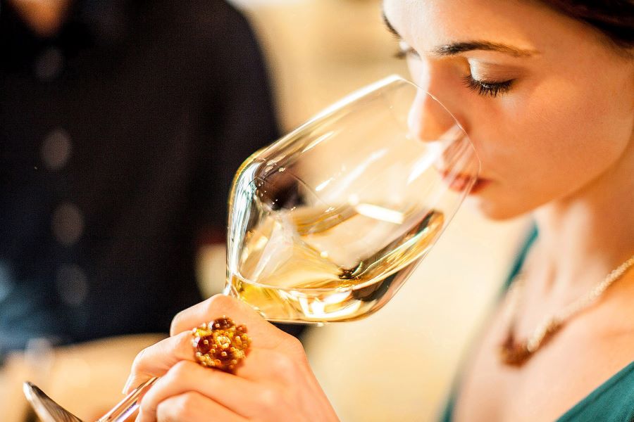 kiến thức cơ bản về rượu vang cách thưởng thức rượu vang